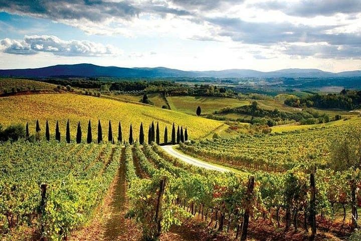Chianti Vespa Tour