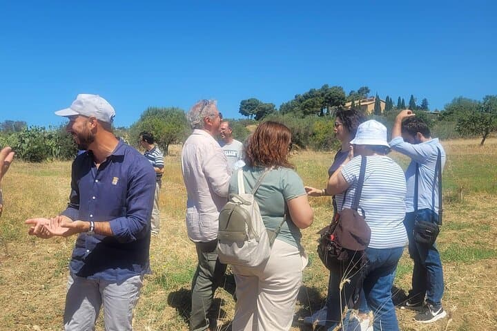 Skip-the-line Valley of Temples - Agrigento Private Guided Tour