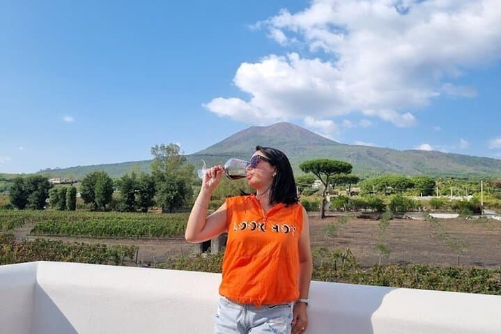 Pompeii Wine Tasting Experience, Vineyards Tour and Lunch