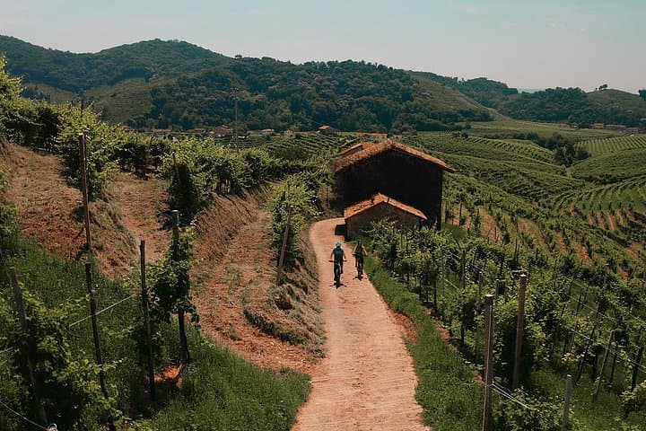 Valdobbiadene e-bike tour amongst vineyards UNESCO Prosecco Hills