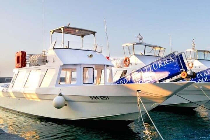Capri Express: Explore Capri in a Day - Cruise Friendly