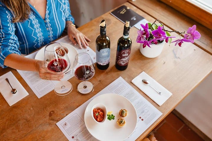 Winery Tour & Gourmet Tasting in Montalcino