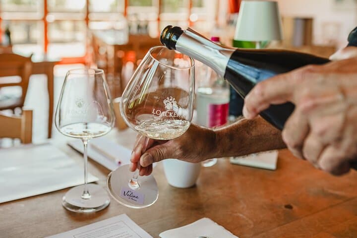 Classic Wine Tasting in Montalcino