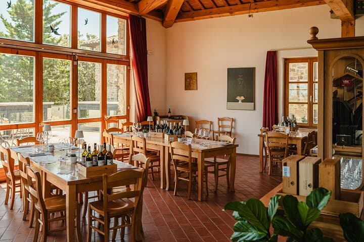 Winery tour & wine tasting in Montalcino