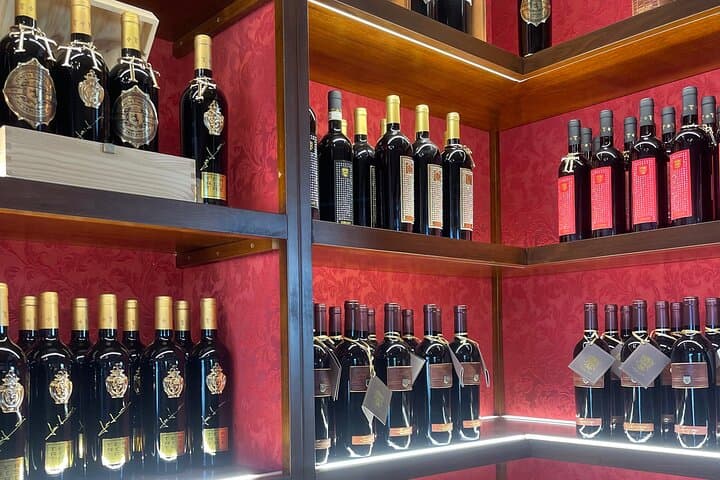 Livorno Shore Excursion: Exclusive Wine Experience