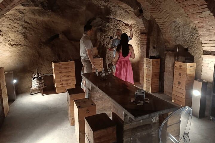 Small group Chianti Classico & Brunello wine region from Siena