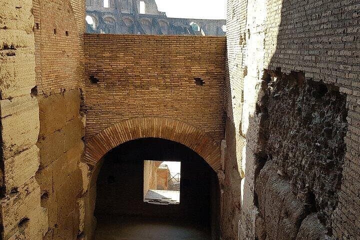 ROME:Colosseum, forum & palatin hill guided tour - private/group