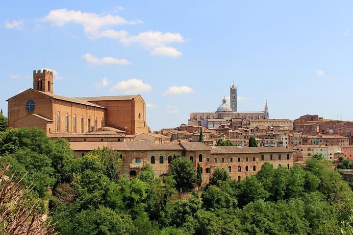 Discover Siena - Cathedral, Piazza del Campo & Medieval Treasures
