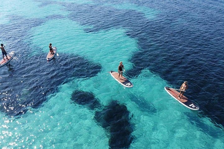 Dolphin-spotting SUP tour with Golfo Aranci aperitif