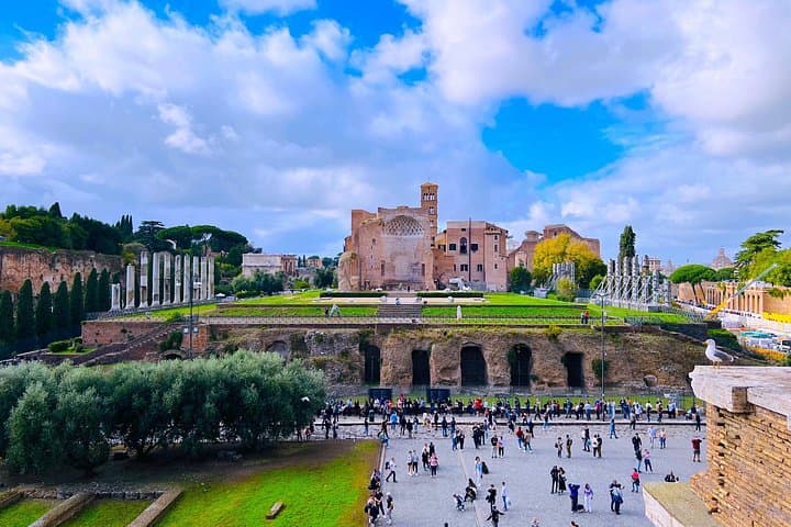 Roman Forum and Palatine Hill Experience