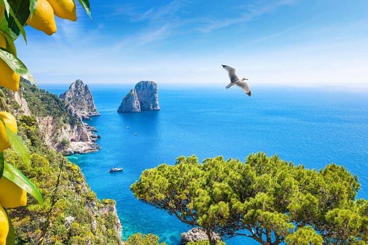 Capri Island Day Trip From Rome By Bus