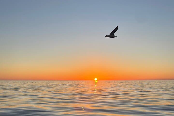 Where the Sun sets: your 5Terre Chill Cruise
