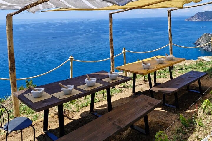 BarCa Winery Cinqueterre Trekking & Wine Tasting & Pesto Class