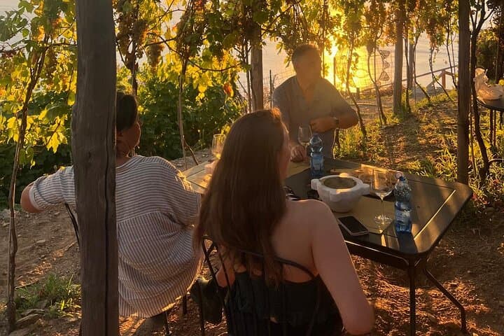 BarCa Winery Cinqueterre Trekking & Wine Tasting & Pesto Class