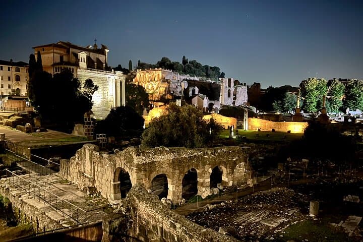 Ruins of the Roman Forum and Palatine