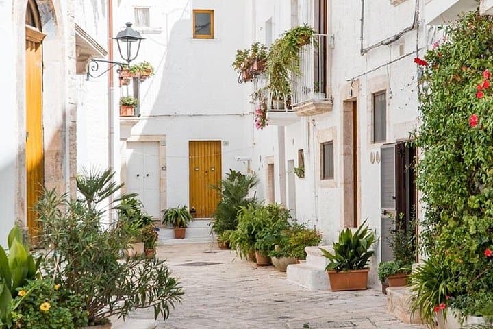 Private Tour in 3 Towns: Locorotondo, Monopoli, Polignano a mare.