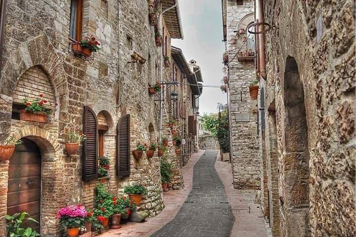 From Rome: small group to Assisi, Orvieto and Carlo Acutis
