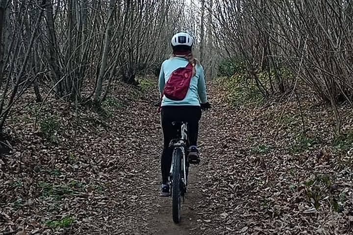 Rome: Castelli Romani Day Trip by Train and E-Bike