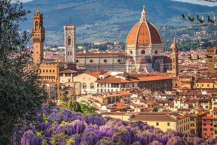 Private Tour from Rome to Pisa and Florence with Tower of Pisa