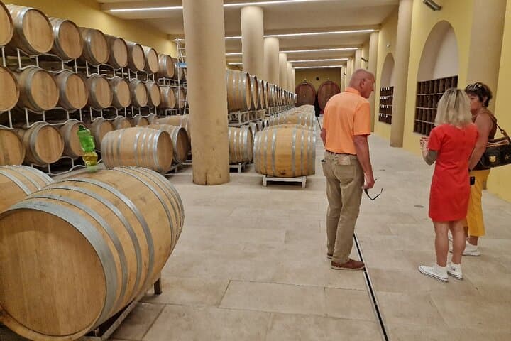Degustazione di vini