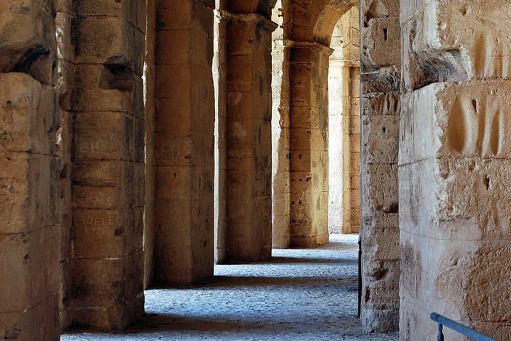 Rome: Colosseum Gladiator Arena Forum and Palatine Guided Tour