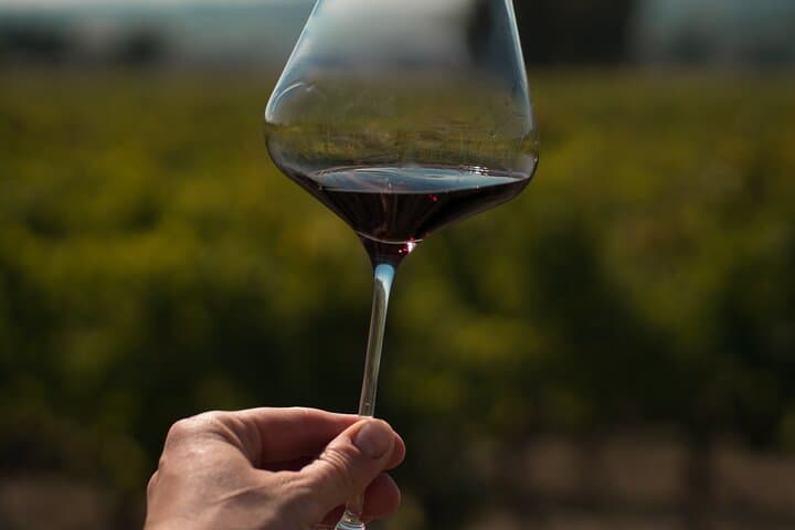 Umbria Mia: Tasting with the Winemaker and Tour of the Cellar.