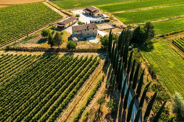 Umbria Mia: Tasting with the Winemaker and Tour of the Cellar.