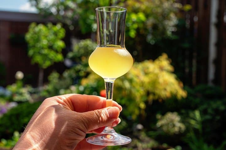Limoncello Making And Tasting Experience