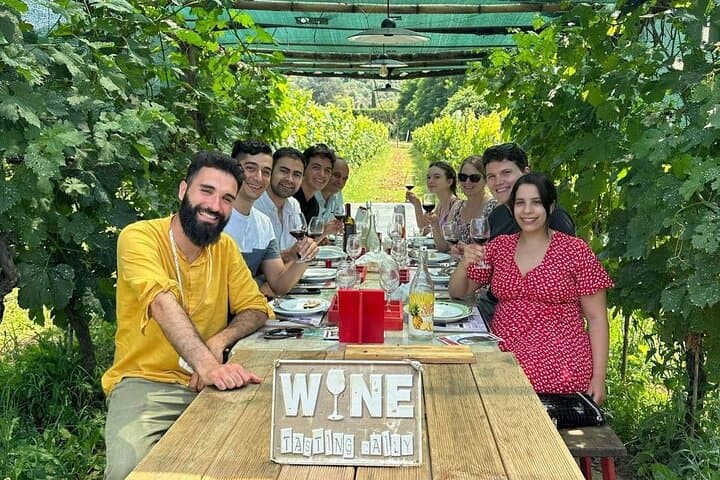 Tasting in a Tuscan Vineyard with transfer from Lucca