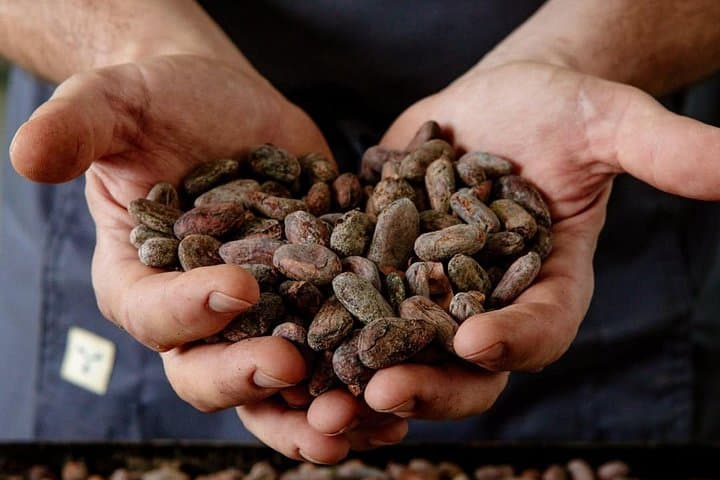 The Turin Chocolate Factory Guided Tour & Tasting