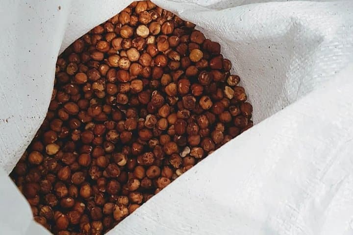 The Turin Chocolate Factory Guided Tour & Tasting