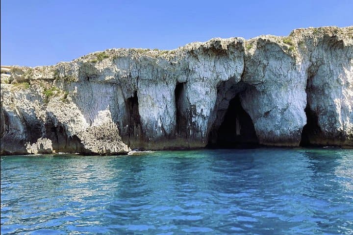 Tour of the island of Ortigia and the Plemmirio reserve