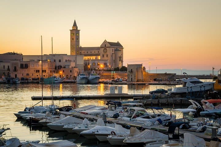 Castel del Monte Unesco & Trani - small groups led by Bari