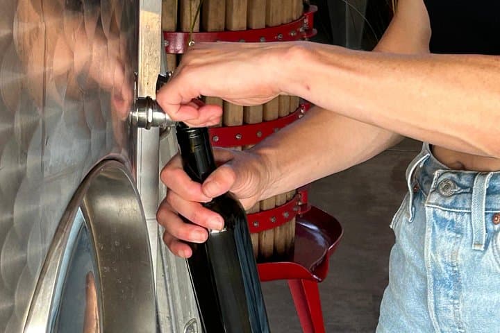 A Morning with the Winemaker: Where Passion Becomes Wine.