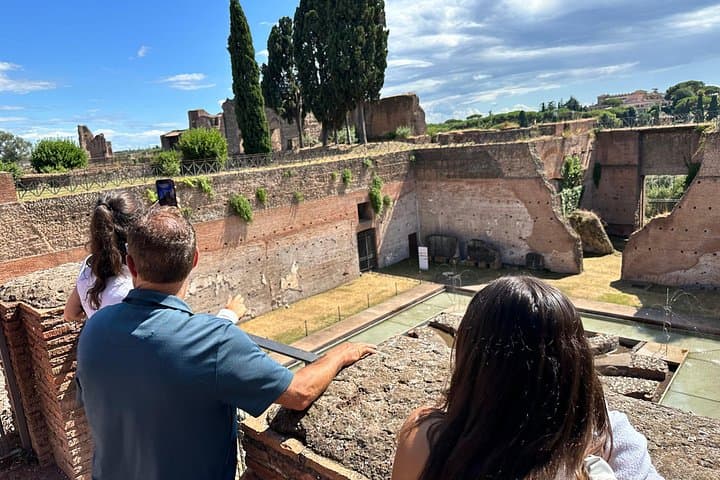 Private Tour of the Colosseum Forums Palatine Hill & Ancient Rome