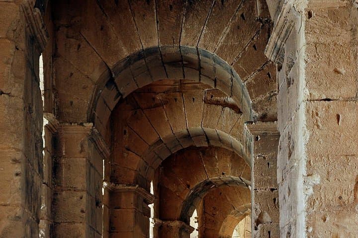 Rome: Colosseum Gladiator Arena Forum and Palatine Guided Tour