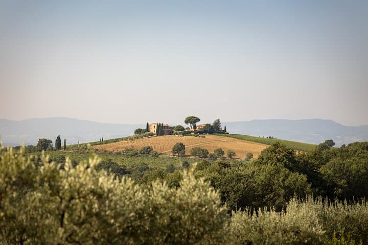 Tuscany Multi day eBike tour Wine and Pasta