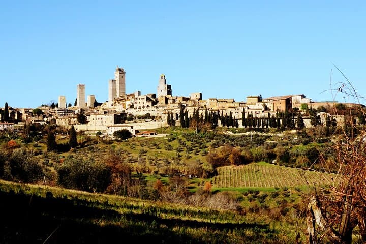 Authentic Tuscan Cooking Class & Winery Tour in San Gimignano