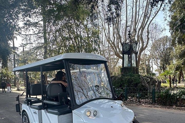 Tour at Villa Borghese ,Hotel pick-up, custom timetable