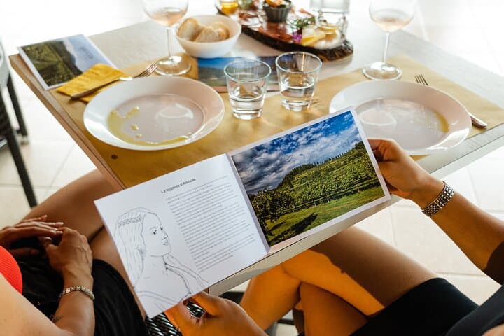 Bardolino: vineyard tour, wine, oil and food tasting