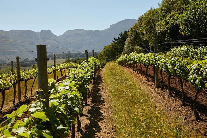 Vespa Adventure In Chianti With Tuscan Lunch And Wine Tasting
