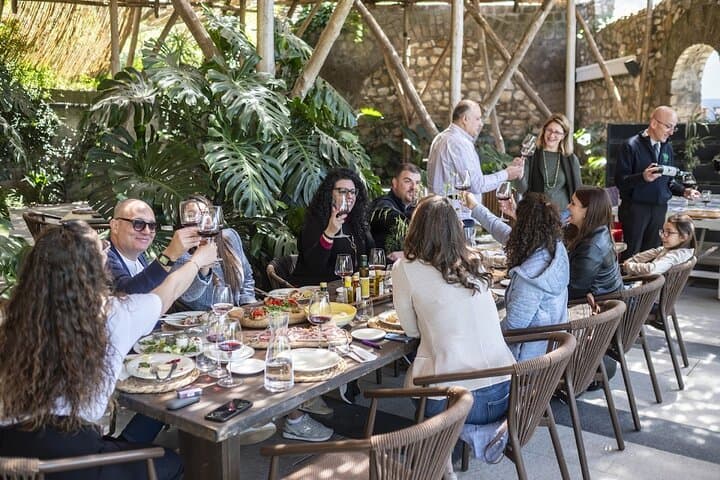 Sorrento Wine Tasting Experience and Cellar Guided Tour