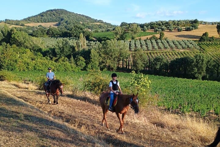 Horseback riding in the hills of Montepulciano in Tuscany