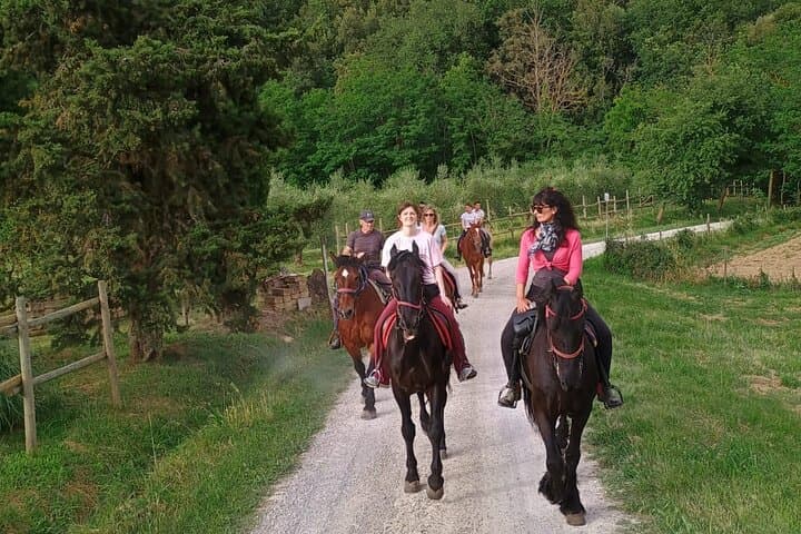 Horseback riding in the hills of Montepulciano in Tuscany