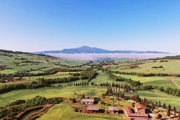 Best Florence and Pisa Tour for Cruise Visitors from Livorno