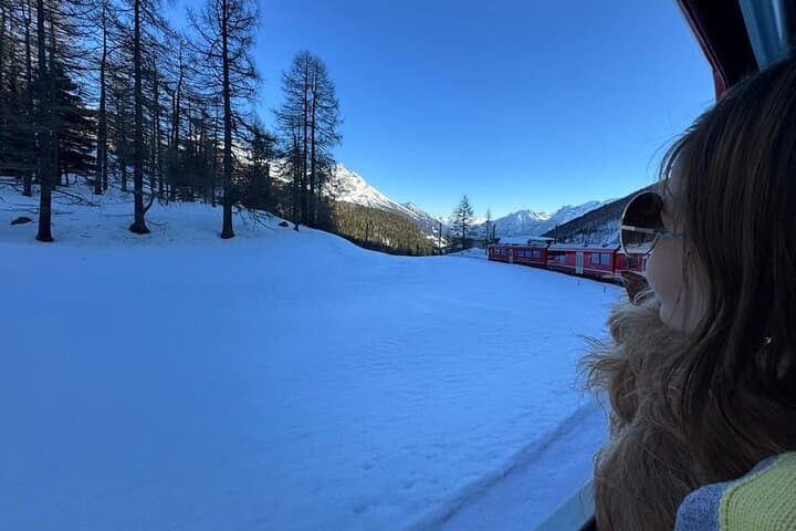 Wonders of the Alps: Bernina Express Tour to St. Moritz