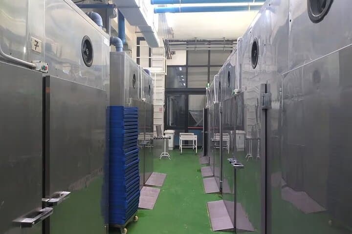 Morelli Pasta Factory: Artisanal Tour and Tasting near Pisa