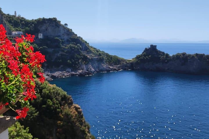 Transfer between Sorrento and Naples (One Way or Return)