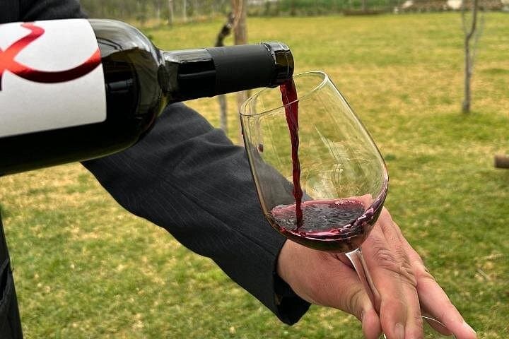 Pompeii Guided Tour & Lunch with Superior Wine Tasting