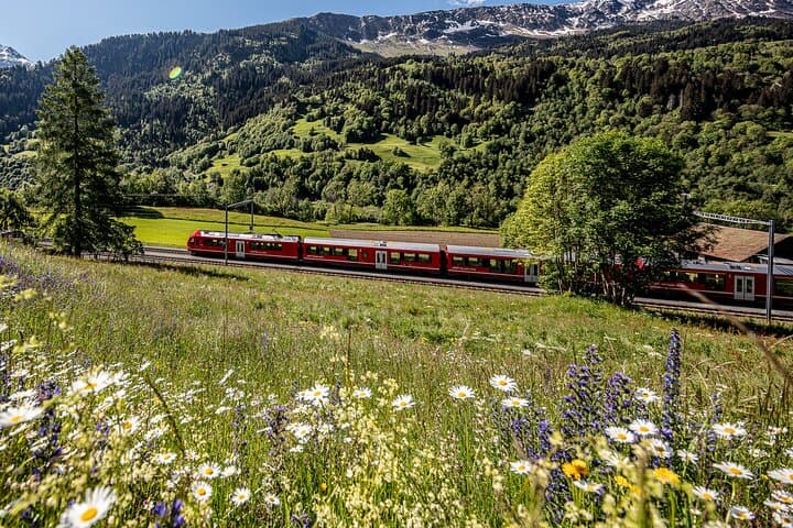 From Milan: Bernina Train Day Trip to Tirano & St. Moritz